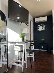 Trendy and modern apartment at rice village