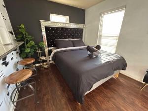 Trendy and modern apartment at rice village