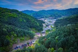 yangpyeong sweet tree pension