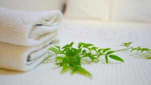 Haneulae Jeonju Hanok Village Accommodation