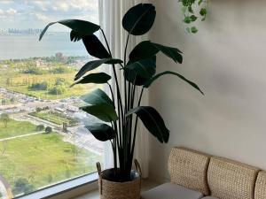 Yeongjongdo in the Moon No 7