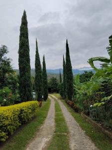Ecohotel la Floresta