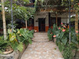 Ecohotel la Floresta