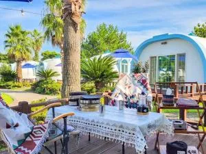 Seogwipo Olledom Pension - Pangdu-dong