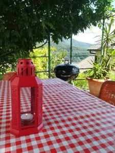 Casa Franca - Apartment in the countryside with garden - 默康内希