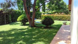 Charming studio in Pescia Romana - 28 m² Terrace