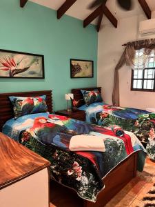 Casa Colibrí Playa Grande