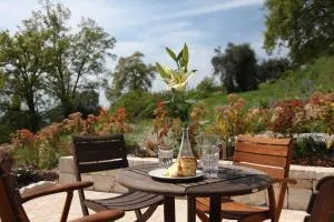 Olives et Libellules - Saint-Jeannet