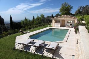 Olives et Libellules