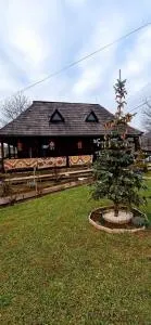 Vlad De Săliște - Bogdan Vodă