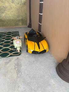 NN HOMESTAy