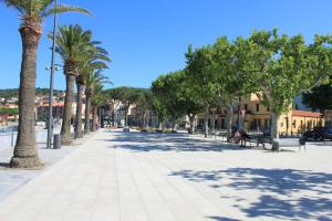 Appartements Appart T1 BANYULS SUR MER LA GRANDE BLEUE BN410-023 : photos des chambres