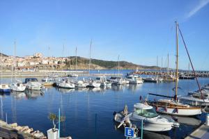 Appartements Appart T1 BANYULS SUR MER LA GRANDE BLEUE BN410-023 : Appartement