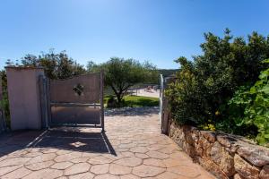 Risveglio con alba img33