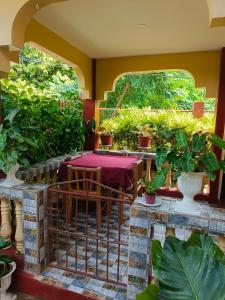 Peace Lily Studio Apartments Panglao