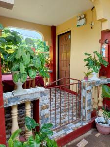 Peace Lily Studio Apartments Panglao