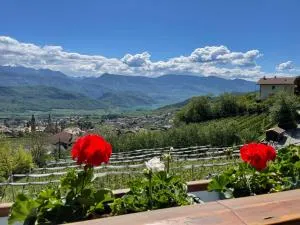 Weißhaus Hof - Malosco