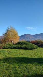 Dog friendly Dom, apartamenty Wichrowe Wzgórza z basenem Brenna