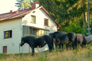 Haus am Brand in Gehlberg nahe Rennsteig Oberhof