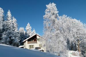 Haus am Brand in Gehlberg nahe Rennsteig Oberhof