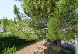 Hotels B&B HOTEL Montelimar Nord : photos des chambres