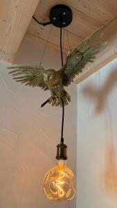 Maso K - Il Gufo Dorato