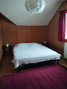 Maisons de vacances Grande maison familiale a Lans en Vercors : photos des chambres