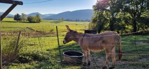 Maisons de vacances Grande maison familiale a Lans en Vercors : photos des chambres