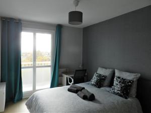 Appartements Appartement lumineux Rennes : photos des chambres