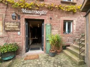Mauersegler - Weilbach