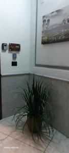 Elegance Rooms Spaccanapoli