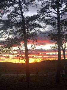 Kustnära hus med utsikt över havet och karlsöarna