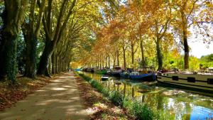 Appartements Maison/Parking Prive/Piscine/Wifi/Canal du midi : photos des chambres