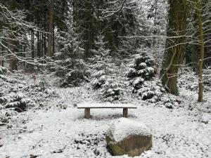 Ferienwohnungen Liedtke