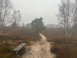 Ferienwohnungen Liedtke