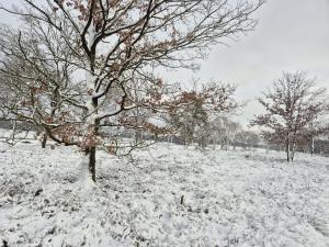 Ferienwohnungen Liedtke