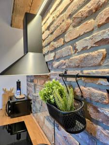 Vila Ferdinand Apartments