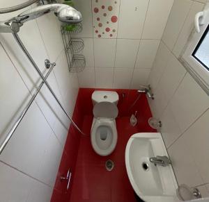 Hidden Behind the Dictator