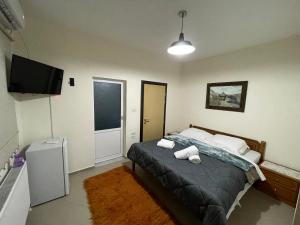 Hidden Behind the Dictator