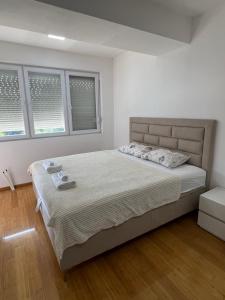 Downtown Apartment