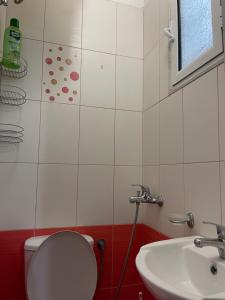 Hidden Behind the Dictator