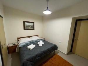 Hidden Behind the Dictator