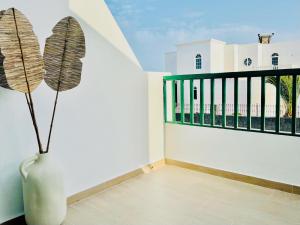 Canaryislandshost l Mare