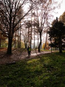 Innesti Rooms&Apartments - Gli Appartamenti