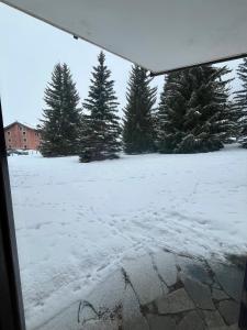 Appartements Grazioso appartamento vicino alle piste : Appartement 2 Chambres