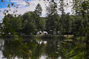 Sleep Space 3 - Green Tiny Spot Friesland