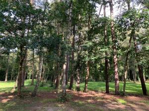 Forest lakehouse with Breathtaking Sauna