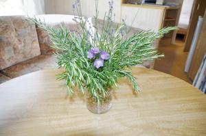 Maisons de vacances Bungalow charmant a Pierrefitte-sur-Loire + jardin et BBQ : photos des chambres