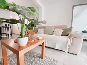 2 Chambres avec Balcon en Centre-Ville et Plage au Calme