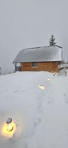 Brvnara “Vidik Breg”